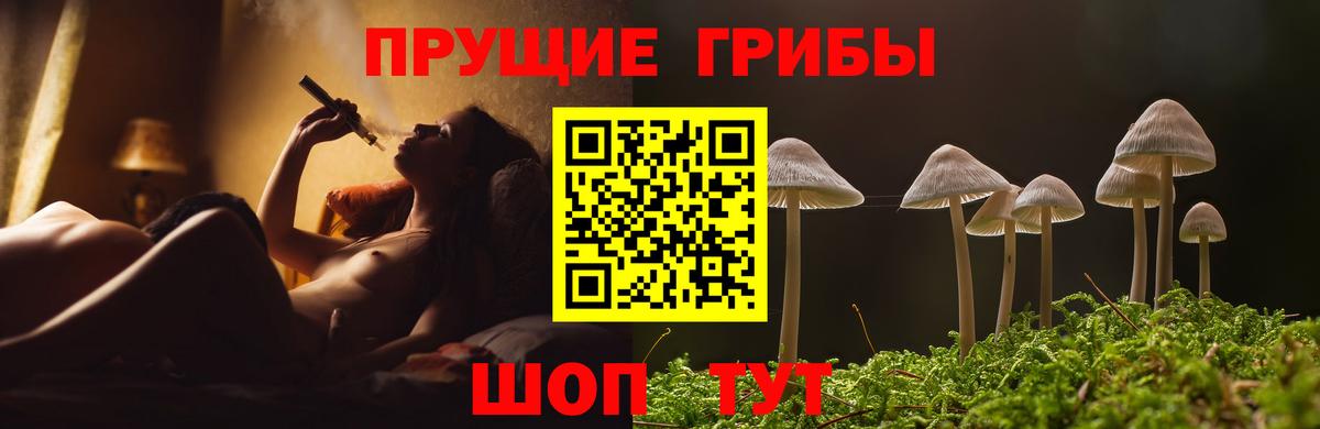 Псилоцибиновые грибы Cubensis  Вход с VPN  Можга  Псилоцибиновые грибы Psilocybine cubensis 